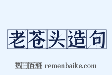 老苍头造句是什么意思的图片